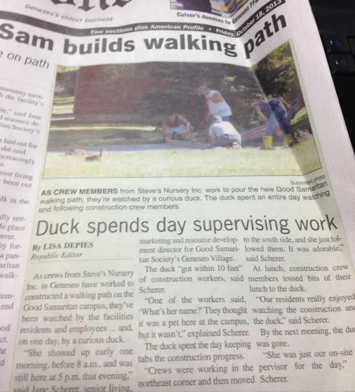Newspaper article with headline “Duck spends day supervising work” showing construction and a duck, illustrating hilarious news headlines.