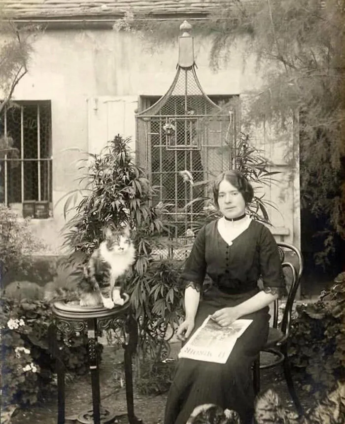 A Parisian Woman With Her Cat In Her Garden, 1910