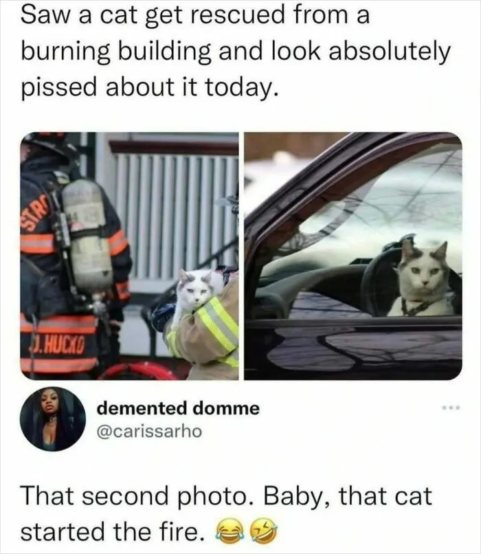 50 Hilarious Memes That Prove Women Have The Best Sense Of Humor (New Pics)