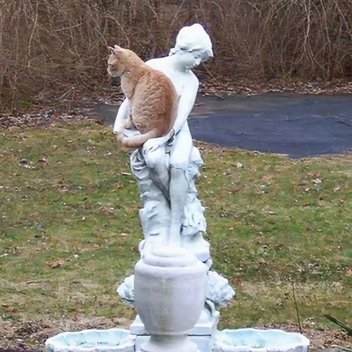 30 Of The Most Bizarre Things Seen In People’s Gardens And Yards (New Pics)