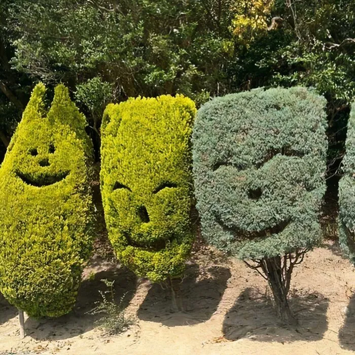 30 Of The Most Bizarre Things Seen In People’s Gardens And Yards (New Pics)