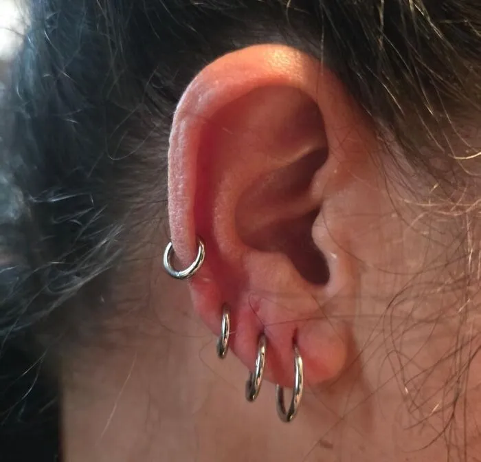 Close-up of a pierced ear with multiple silver hoop earrings, a cute gift idea under $25.