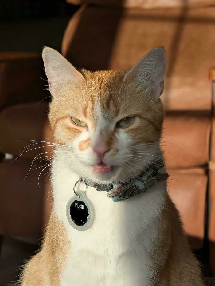 He Dislikes Mornings