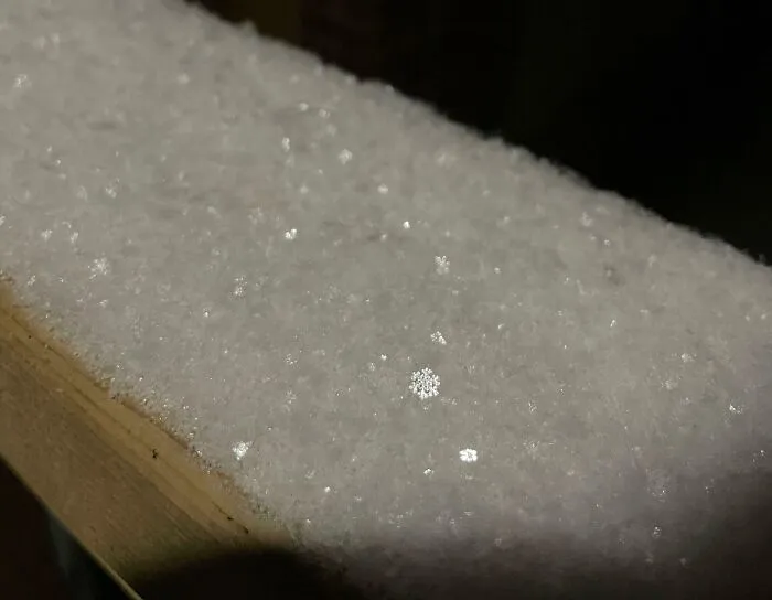 Managed To Get This Picture Of A Perfect Snowflake On My iPhone