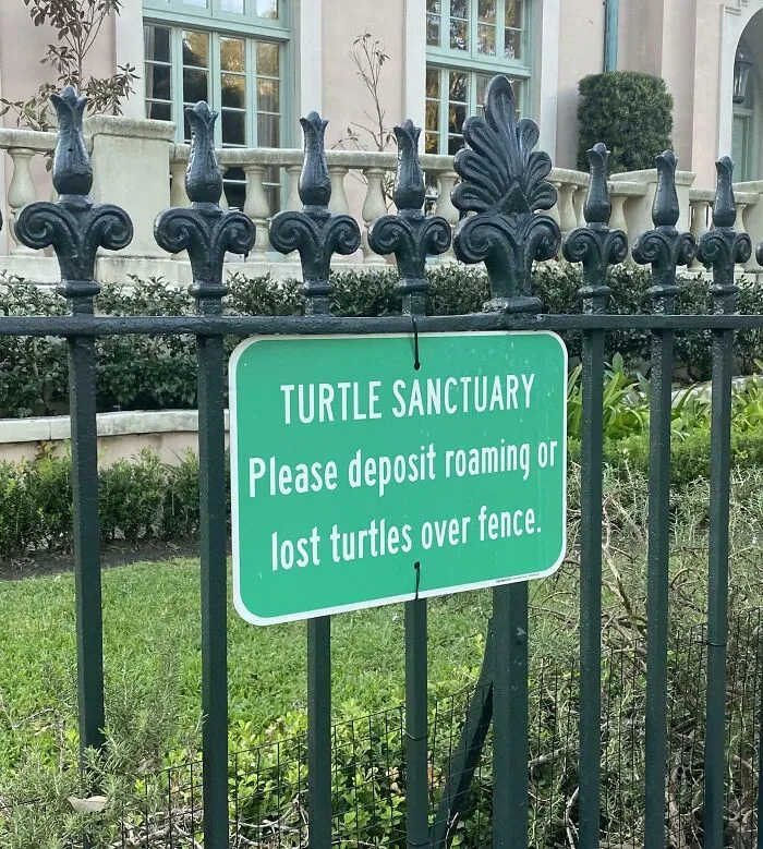 This Sign At This House That Takes In Stray Turtles
