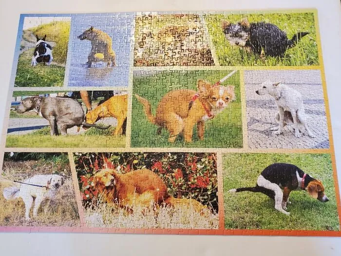 Because Who Doesn't Love A Good Crappy Challenge - The <a Style="Display:inline;" Href="Https://Www.amazon.com/Pooping-Dogs-Jigsaw-Puzzle-Lovers/Dp/B07yzflsx8?ie=utf8&th=1&linkcode=ll1&tag=bpyak-20&linkid=11234b1b9412d57929b8cd8a1f9f7591&language=en_us&ref_=as_li_ss_tl" Target="_blank"><span Style="Font: Inherit; Color: #d74b1f;"> Pooping Dog Puzzle </Span> Is The Ultimate Test Of Skill, Patience, And Ability To Laugh At A Toy Dog's Misfortune