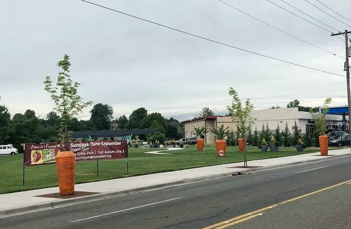 My City Protects New Trees With Guards Painted To Like Carrots