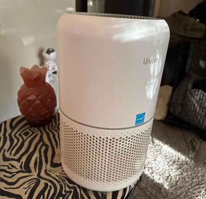 <a style="display:inline;" href=" https://www.amazon.com/LEVOIT-Purifier-Home-Allergies-Pets/dp/B07VVK39F7?ie=UTF8&th=1&linkCode=ll1&tag=bpcoyote-20&linkId=d49d32520634f5c3e4ed63575581a869&language=en_US&ref_=as_li_ss_tl" target="_blank"> "An <span Style="Font:inherit;color:#d74b1f;">air purifier</Span>! It improves my sleep while keeping my room dust-free." - <span Style="Font:inherit;color:#808080"> fine-dining</Span>