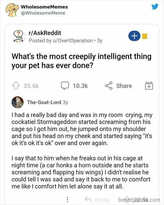 Funny-Relatable-Ig-Animal-Memes