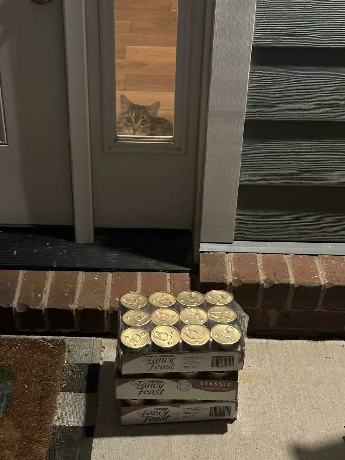 Delivery For Ms. Kitty