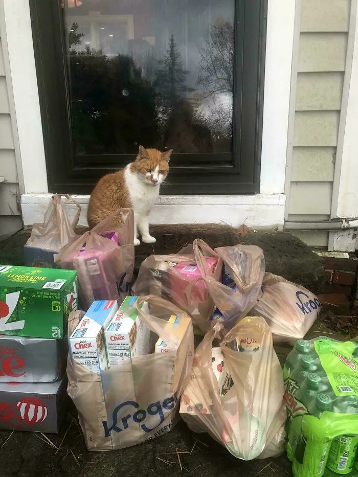 I Was Supervised On A Delivery This Afternoon