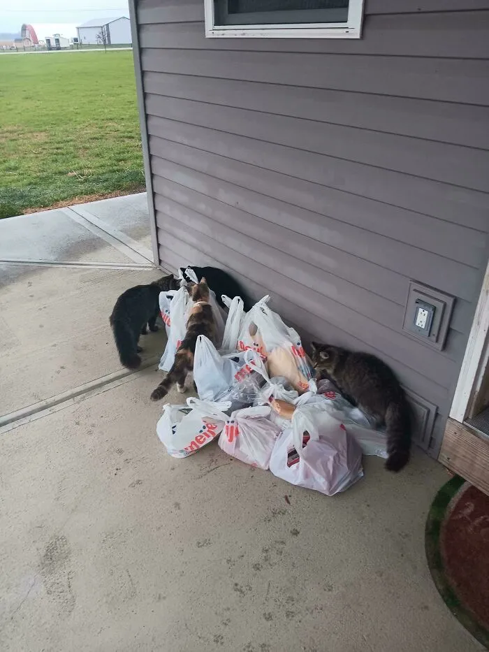 My Proof Of Delivery Photo