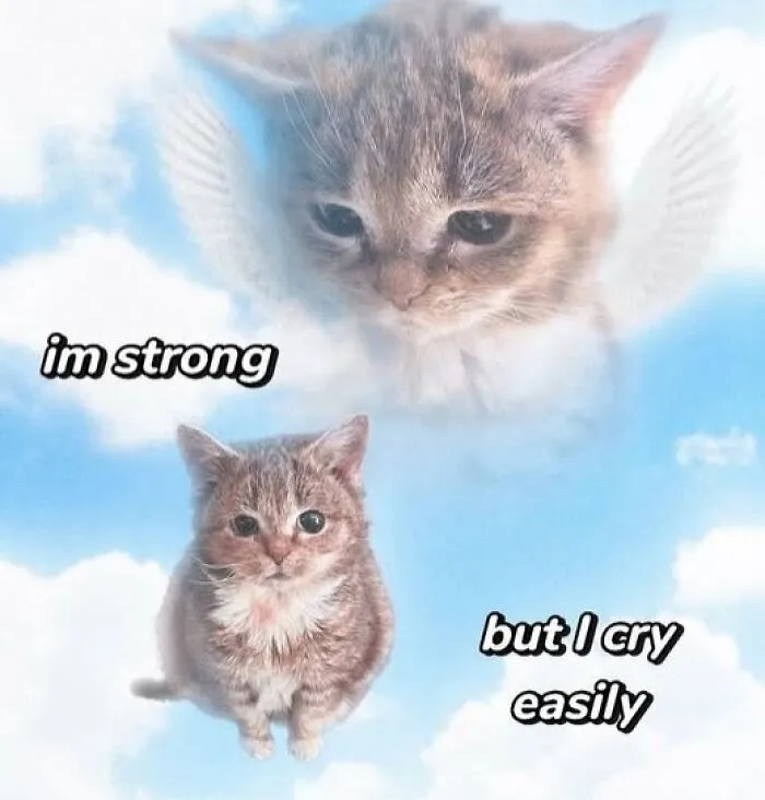 40 Hilariously Relatable Memes That Most Of Us Can Relate To From The "Evil Thoughts" FB Page
