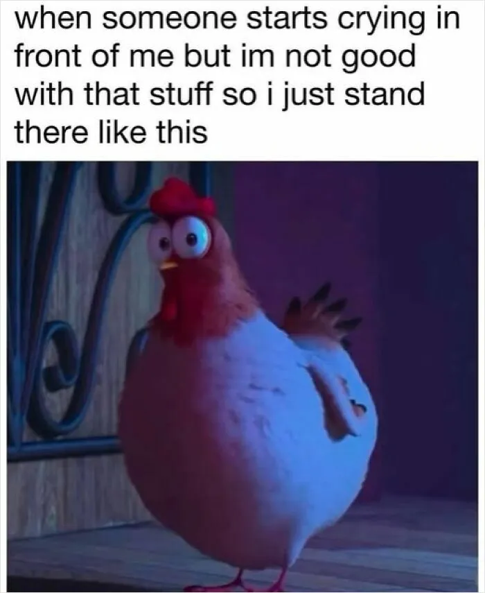40 Hilariously Relatable Memes That Most Of Us Can Relate To From The "Evil Thoughts" FB Page