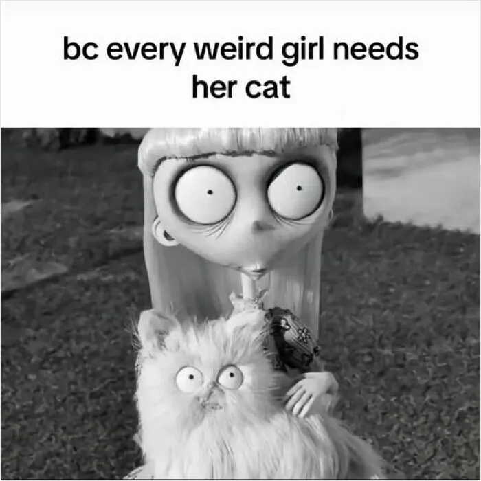 40 Hilariously Relatable Memes That Most Of Us Can Relate To From The "Evil Thoughts" FB Page