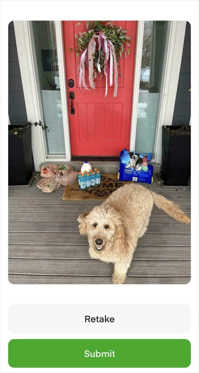 This Dog Wouldn’t Let Me Stage The Items LOL