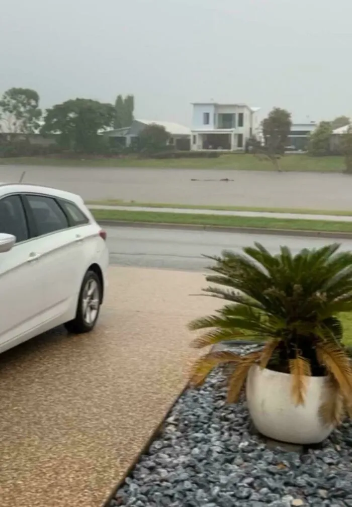 Cocodrilo navegando por los suburbios durante las inundaciones en Townsville