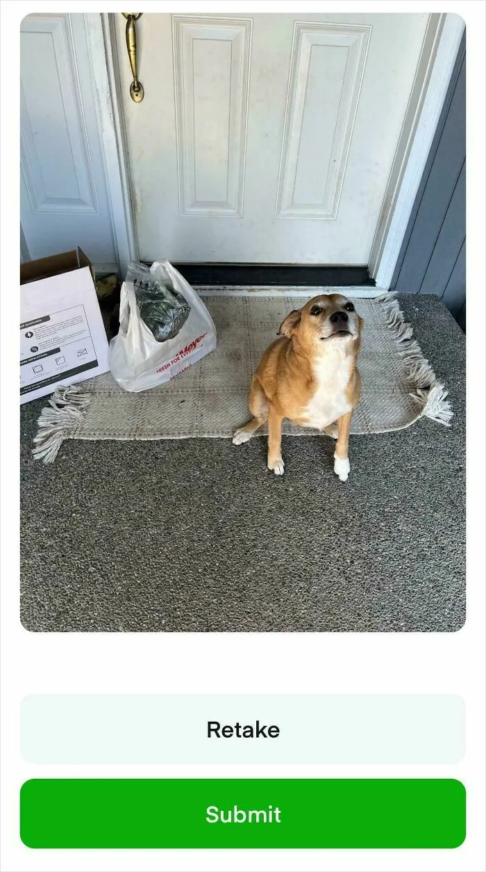 I Delivered To A Very Pawlite Customer Today