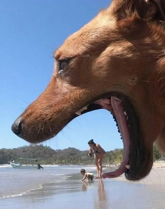 45 Fotos divertidas de animales haciendo lo que les da la gana