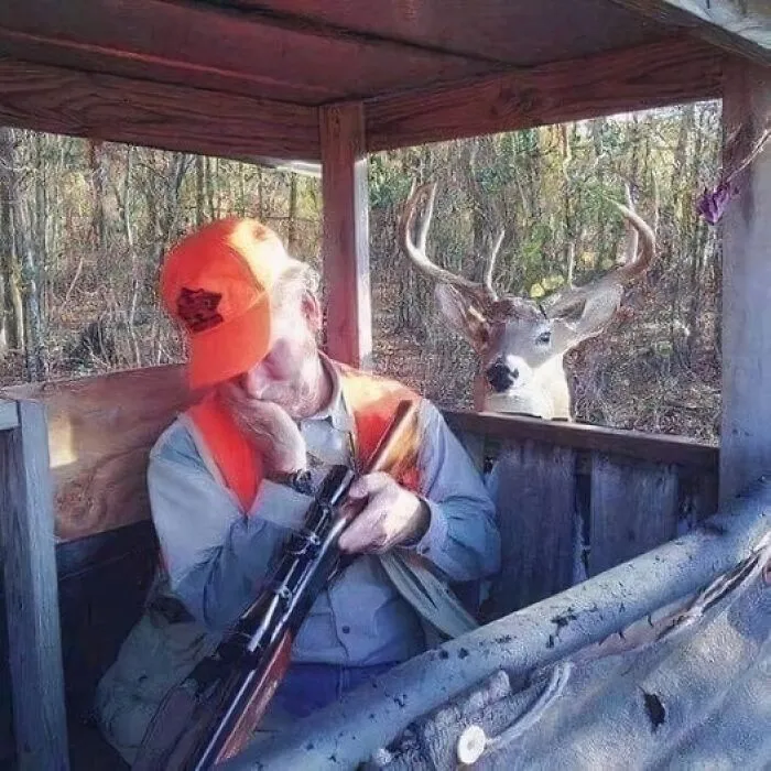 45 Fotos divertidas de animales haciendo lo que les da la gana