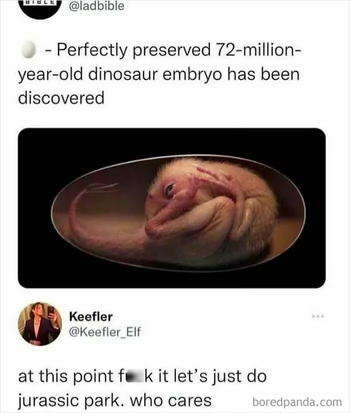 50 Funny Random Memes You Might Wish You Had Friends To Send To (New Pics)