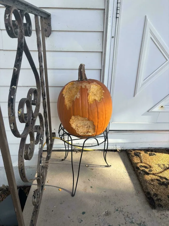 The Squirrels In My Neighborhood Carved My Pumpkin For Me