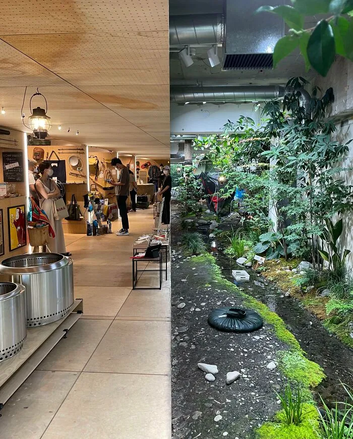 Unique Japan pics: Split view of an indoor shop and a lush garden with plants and a small stream.