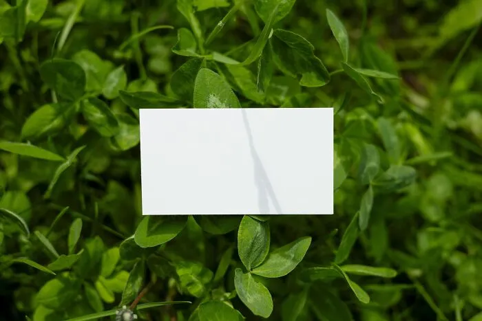 Blank white card on green leaves backdrop, symbolizing a clean slate for office jokes.