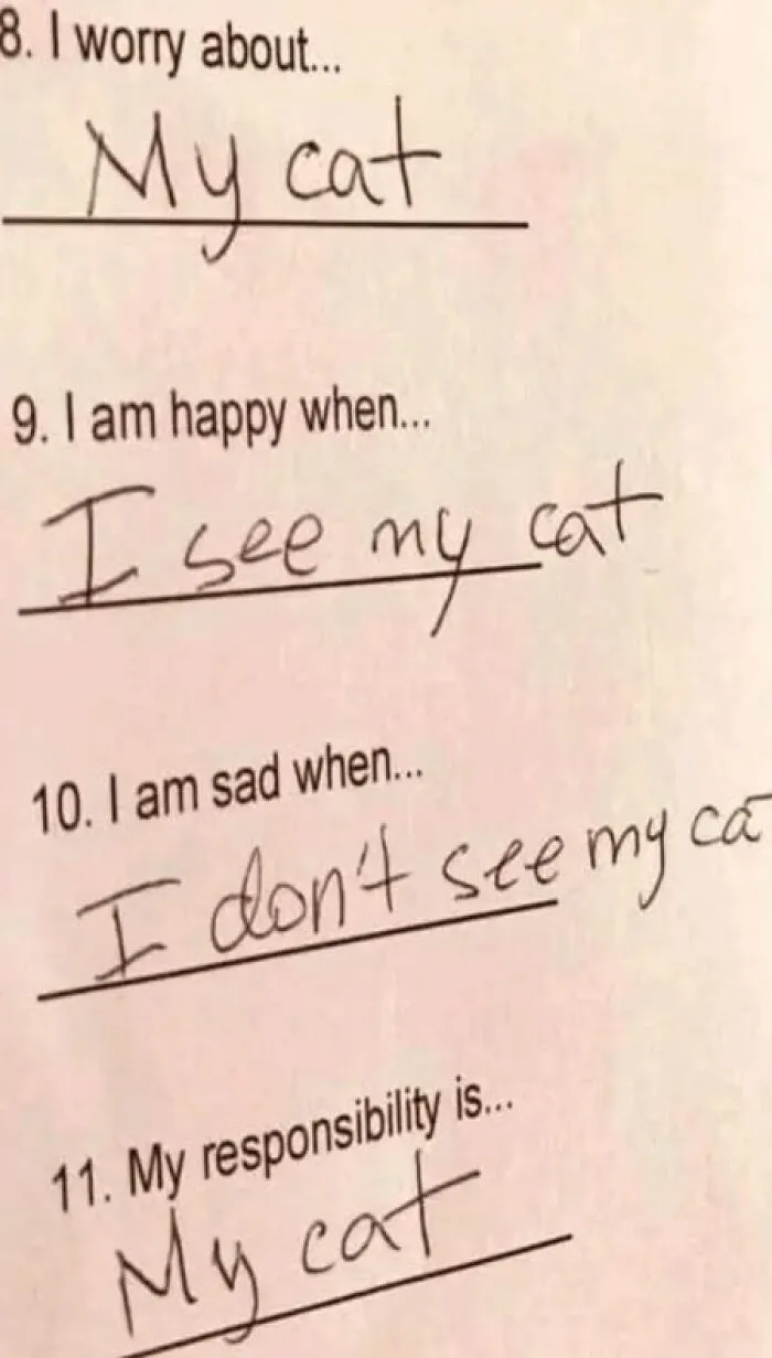 50 Times Cats Proved They’re The Funniest And Most Memeable Creatures Ever