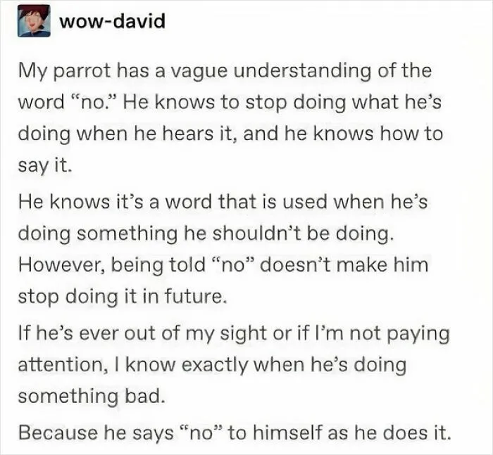 What A T*rd