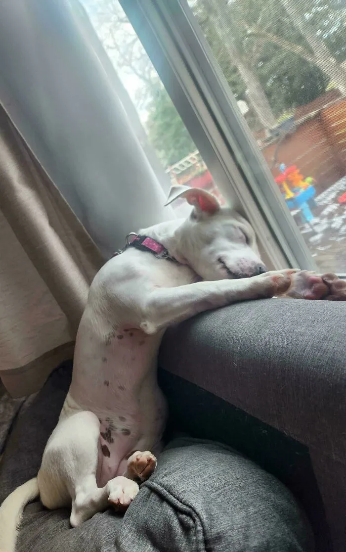 Heat Comes Up Behind The Couch