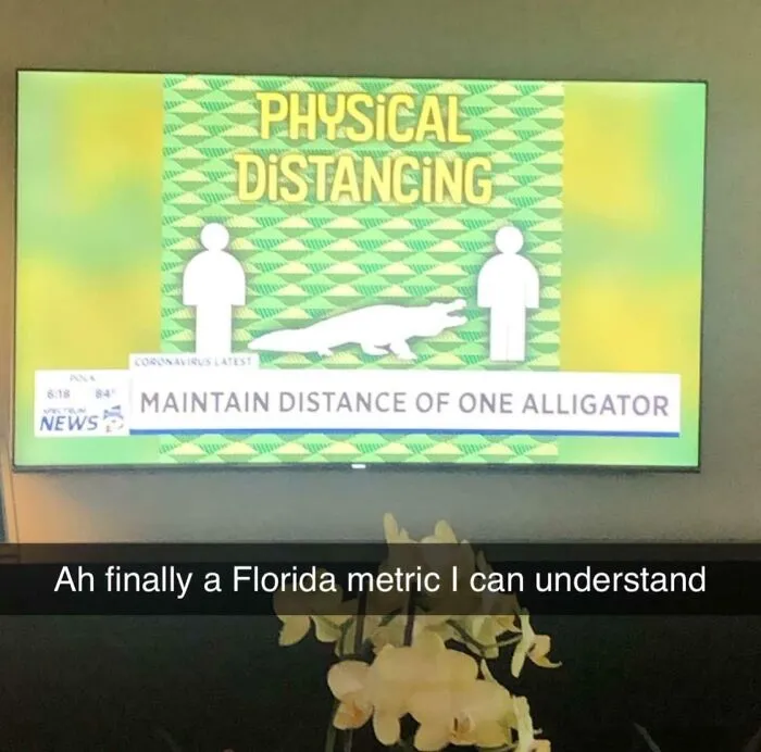 On The Florida News Today: