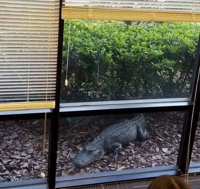 When Your Office Is In Florida