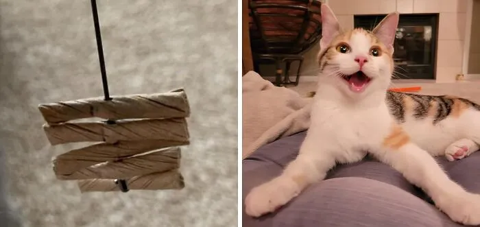 Purr-Fectly Affordable And Paw-Some, This <a Style="Display:inline;" Href="Https://Www.amazon.com/Cat-Dancer-101-Interactive-Toy/Dp/B0006n9i68?ie=utf8&th=1&linkcode=ll1&tag=bpgecko-20&linkid=5204266afb9cfdb7fc19c92975c42d09&language=en_us&ref_=as_li_ss_tl" Target="_blank"><span Style="Font: Inherit; Color: #d74b1f;"> Quality Cat Toy</Span> Won't Break The Bank, But It Might Just Break The Internet With The Adorable Videos You'll Take