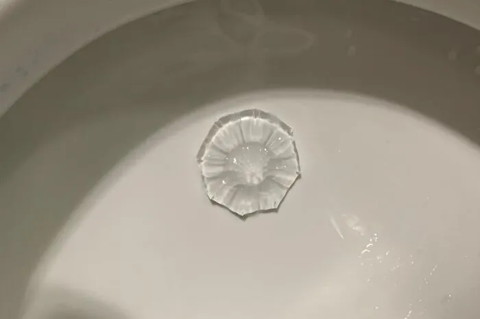 Because Adulting Can Be A Real Crappy Job, Make It Slightly Less Terrible With These <a Style="Display:inline;" Href="Https://Www.amazon.com/Scrubbing-Bubbles-Cleaning-Limescale-Dispenser/Dp/B01fx5h9n2?ie=utf8&linkcode=ll1&tag=bpgecko-20&linkid=598abbc990525848dd11f82744039bda&language=en_us&ref_=as_li_ss_tl" Target="_blank"><span Style="Font: Inherit; Color: #d74b1f;"> Gel Stamps For Toilet Bowl Cleaning</Span> That Bring A Weird Kind Of Joy To The Most Mundane Task
