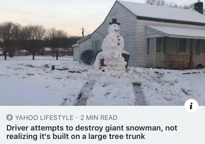 Snowman-1, Driver-0