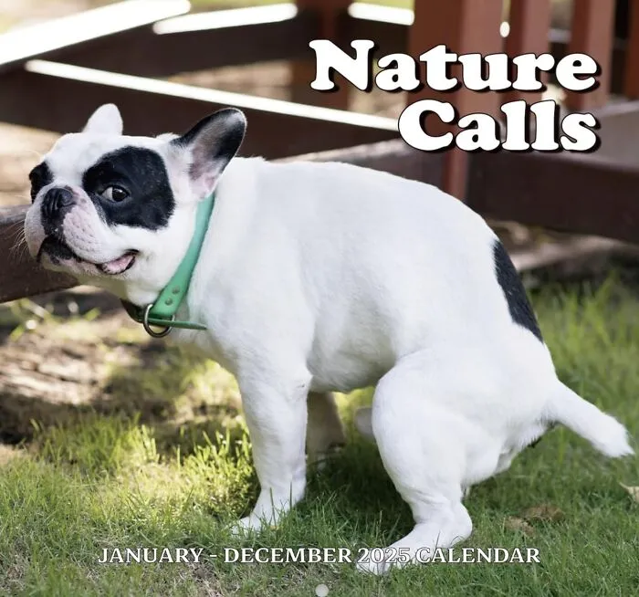 When Nature Calls, Answer With A Giggle Thanks To This <a Style="Display:inline;" Href="Https://Www.amazon.com/2024-Calendar-Pooping-Beautiful-Places/Dp/B09br7cvt5?dib=eyj2ijoimsj9.6rcmplotyl-Hh76ehet69aoss6jfuubu-Cyhxoc9dw9zxyphwgvemtun3mensovyzmkwjx3w7twpprtf3ddo7yxlsfmfwgkp6dpur8zsexzjm4v9zneut1j19vhgeaxjsu1cmpdf8-Kgeimcslx94n1qgtj85irscf4fm2j2f8-5brjam3psfb2vcyvh3hpyr45lsct7ttblgkfxmucvekomgvarnf81__agruippaaqddxt6ozg_mjqhas5wpjnz-Feaapvkkuhsgagg8l_dgfilo9camxcvwdi6l3sipexzobqggs5jacxcyyxjaulzmqihmoukarb4izblvesunokalygztfk0sjo8ljv4ng7gcdmfouiy92o1t-Tanwd1q4iipjg3tjft3dik5w3dbrmhvvbey6t9m7e_m2jgeh7xgvqtbj3eor4ugfy9c76.i3lruddnkqk-Gbbywiryhf23lne6lr5qfnymttjdcbi&dib_tag=se&keywords=useful%2bgifts%2bunder%2b%245&qid=1739264969&sr=8-99&xpid=opmm4wu4ym00s&th=1&linkcode=ll1&tag=bpgecko-20&linkid=080e8cd8fb17ee3b6b32d8e9fbb2fd04&language=en_us&ref_=as_li_ss_tl" Target="_blank"><span Style="Font: Inherit; Color: #d74b1f;"> "Nature Calls" Calendar</Span> That's The Crappy Companion You Never Knew You Needed—12 Months Of Pooping Pups To Keep You Regular(Ly Entertained)