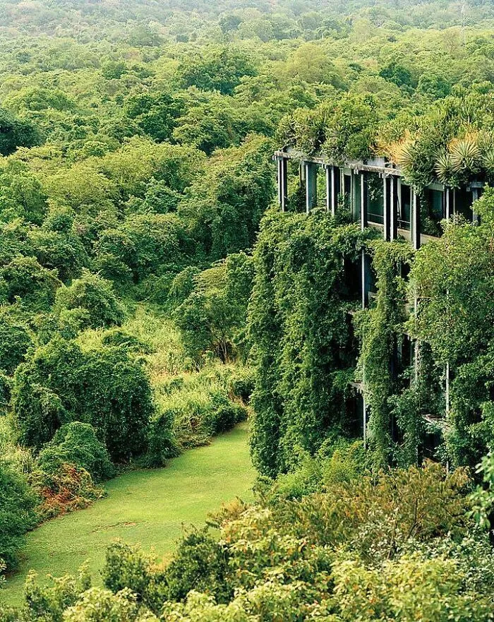 Abandoned Hotel Taken Over By Plants