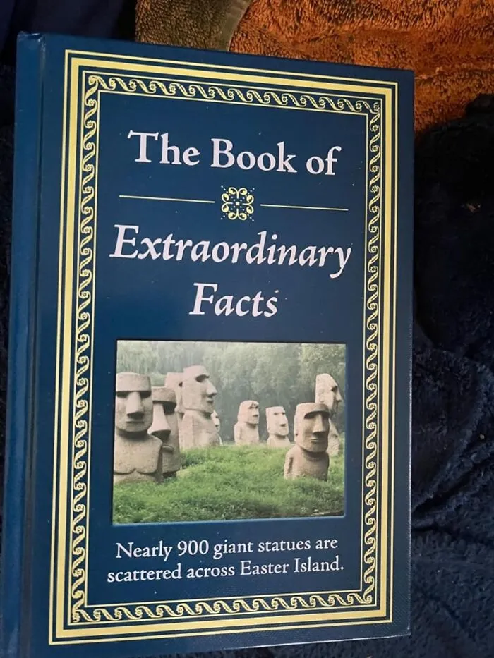 Become The Life Of Every Party With The <a Style="Display:inline;" Href="Https://Www.amazon.com/Extraordinary-Facts-Editors-Publications-International/Dp/1450853951?ie=utf8&linkcode=ll1&tag=bppelican-20&linkid=905523e99aee507941563ede5de75946&language=en_us&ref_=as_li_ss_tl" Target="_blank"><span Style="Font: Inherit; Color: #d74b1f;"> Book Of Extraordinary Facts</Span>, A Conversation Piece To Help Add Fuel To The Small Talk Flames