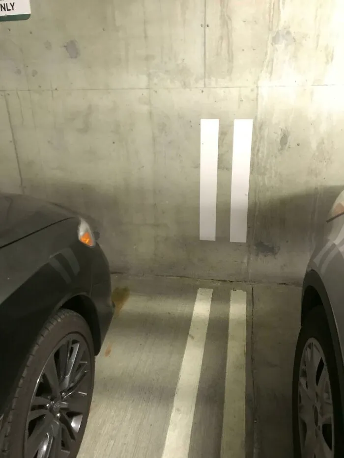 These Lines Go Up The Wall So You Can Park Perfectly In Between The Lines