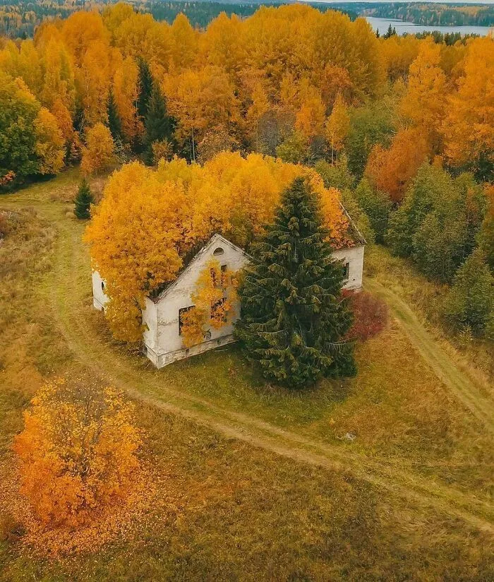 Captured By Nature, Republic Of Karelia, Russia