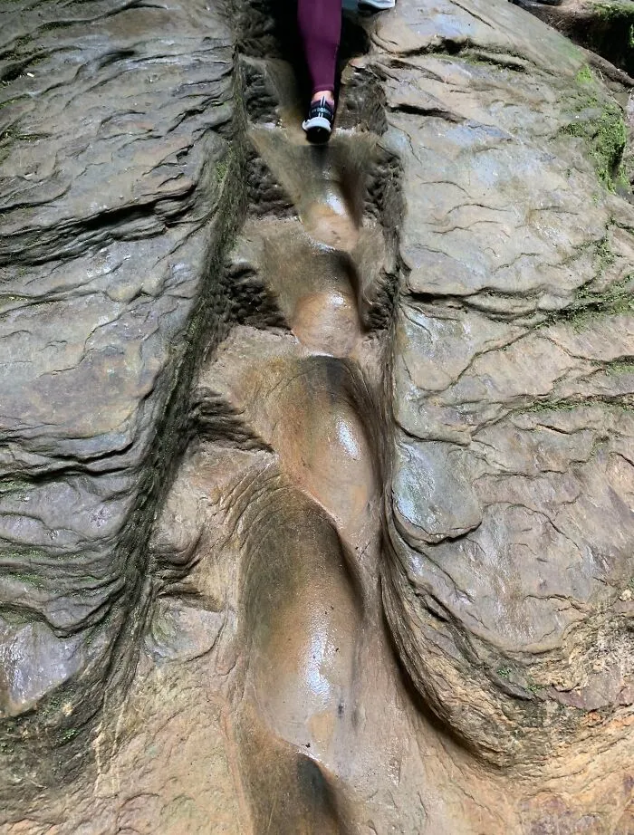 These Are Shin And Neck Breaking Stairs Located At Turkey Run State Park In Indiana And Yes They Are Exactly As Slick As They Look