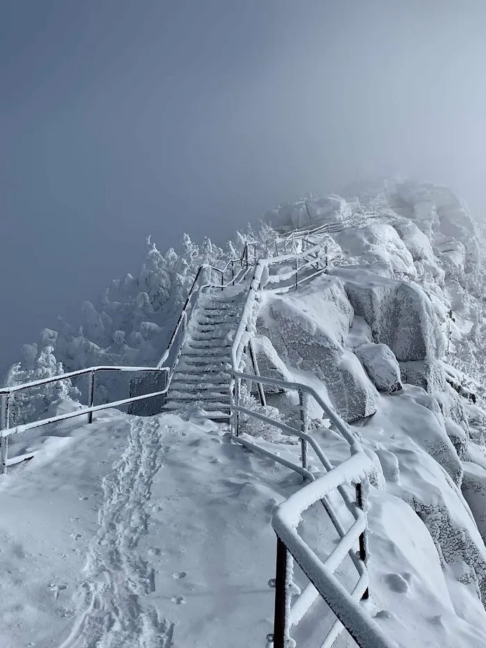 Mt. Whiteface