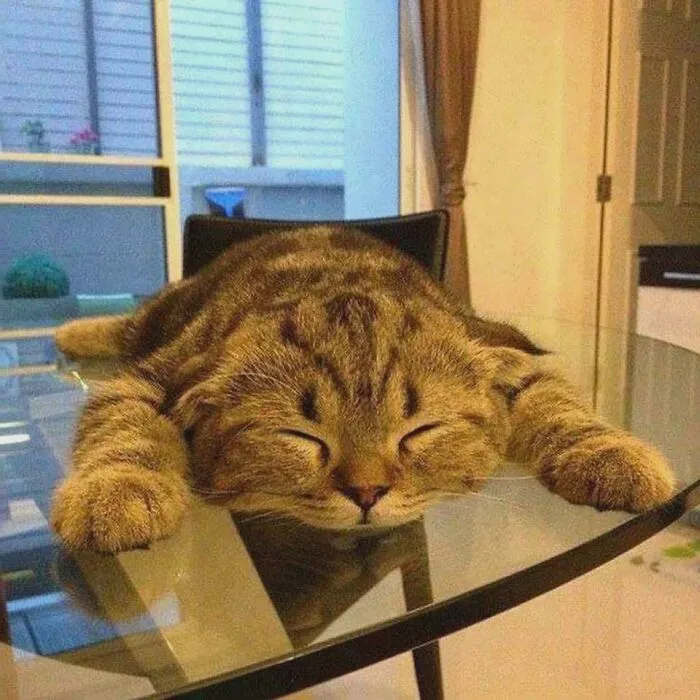 The Melting Point Of A Smol