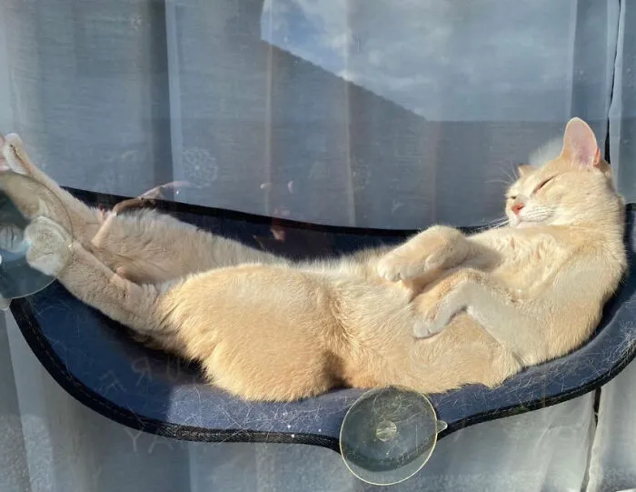 The Weather Was Nice Today So It Felt Good To Soak In The Sun
