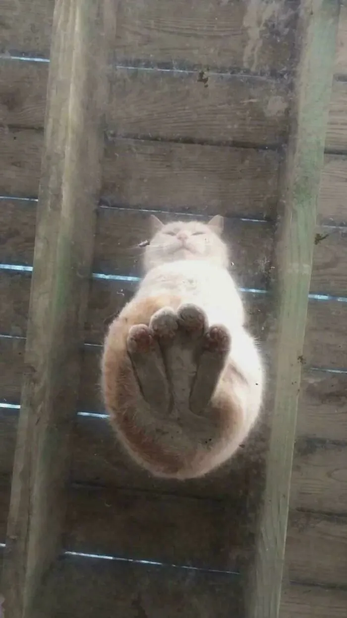On The Roof Glass