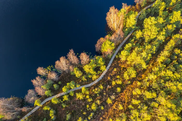 Aerial view of Lithuania's scenic forest and lake with a winding path through vibrant autumn foliage.