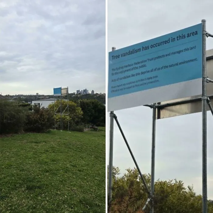 Someone Chopped Down A Tall Tree To Get A Better View Of Sydney Harbour So The Put Up A Tall Sign Where It Once Was To Block The View
