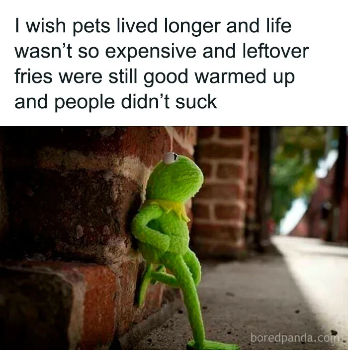 30 Random Memes That Might Help Your Brain Pump Out Some Dopamine