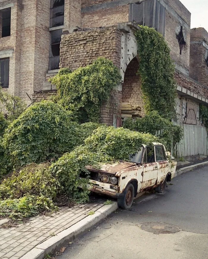Ivy Overtaking Car
